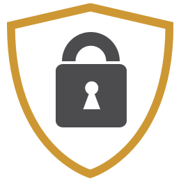 Chevrolet Protection Plan icon